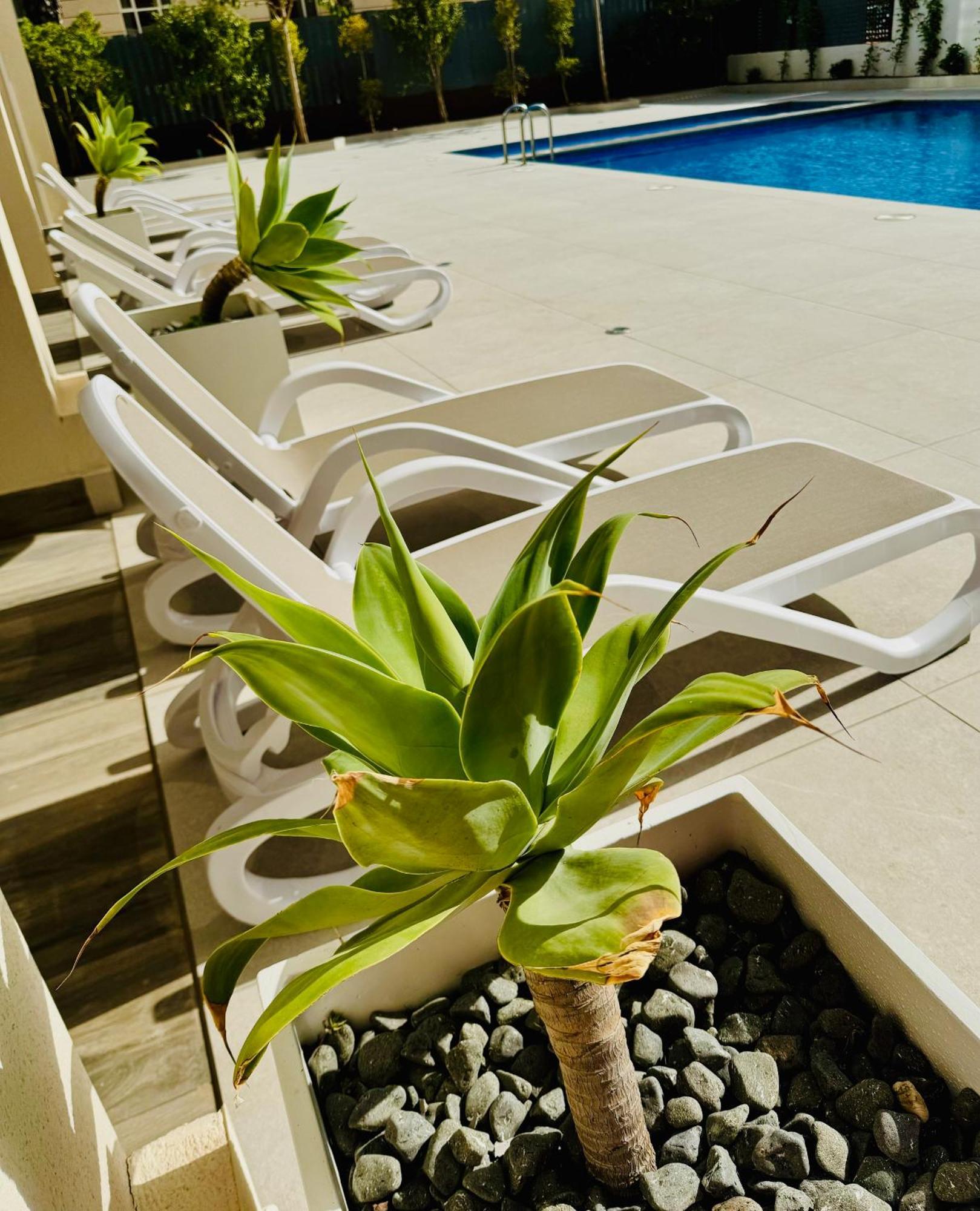 Calpe Beach II - Sea & Pool View Apartment 外观 照片